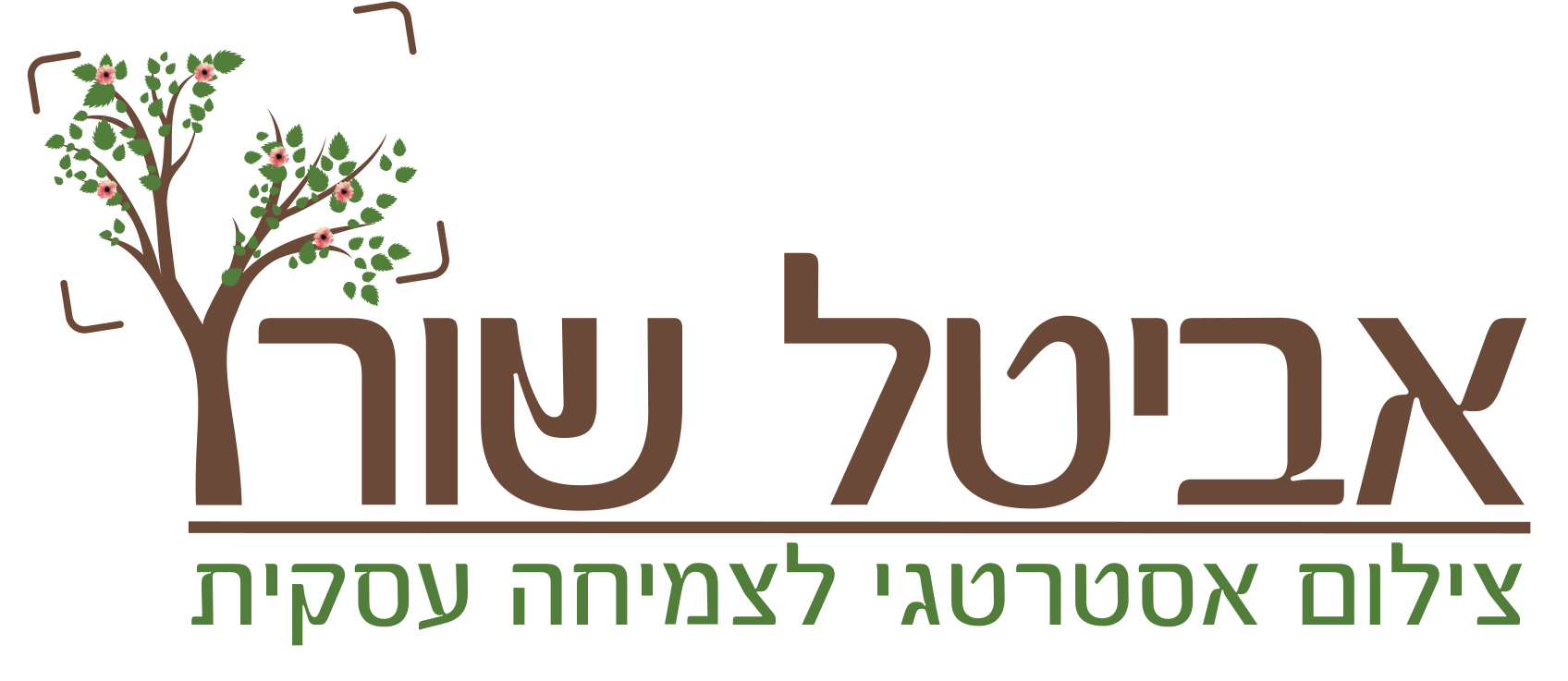 אביטל שורץ.jpg