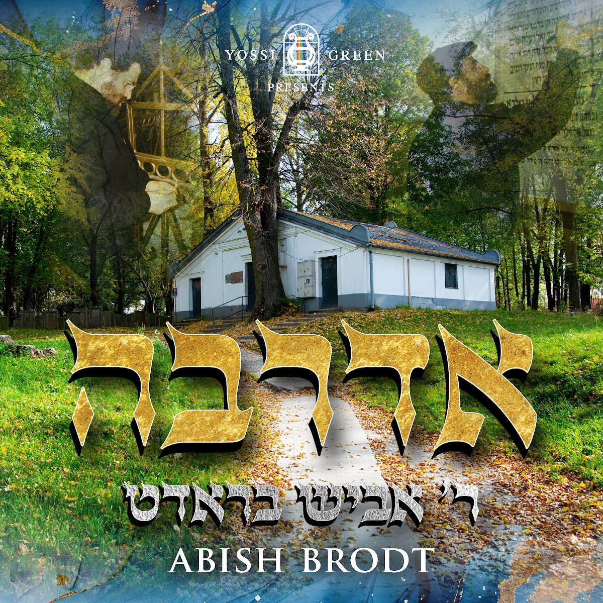 אביש בראדט - אדרבה.jpg