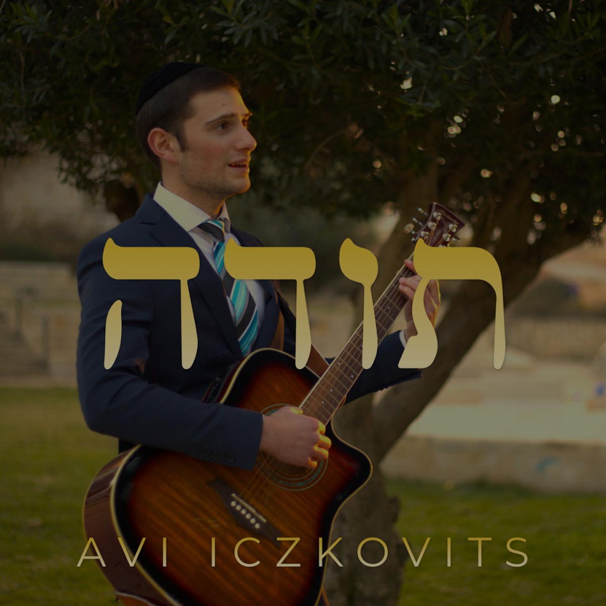 אבי איצקוביץ - תודה.jpg