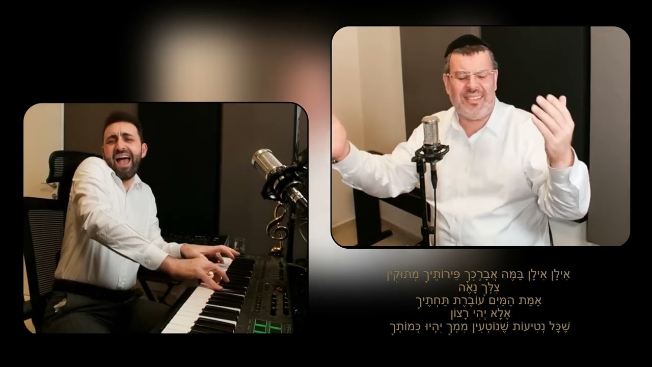 אבי דרור & קובי גרינבוים - מחרוזת אילן.jpg