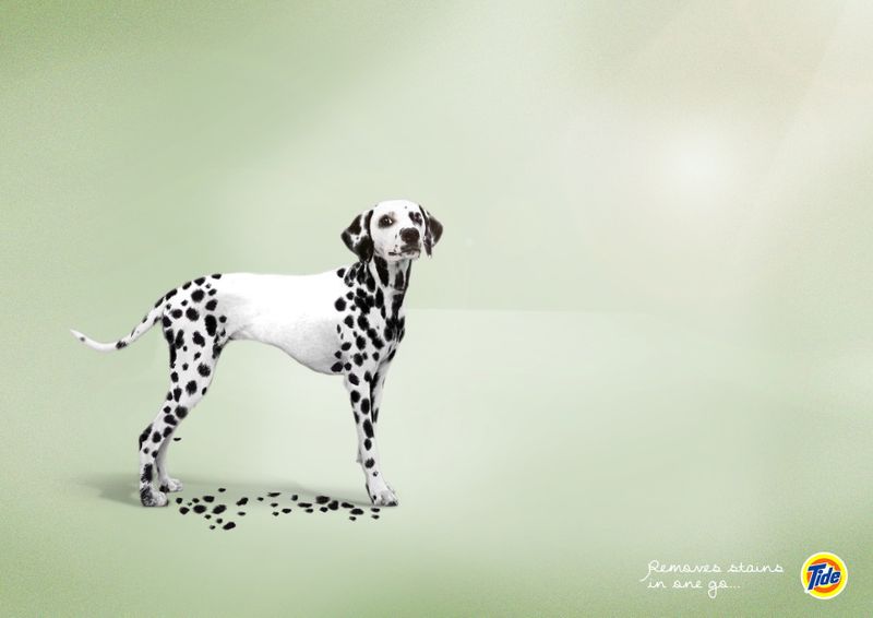 אבקת כביסה.jpg