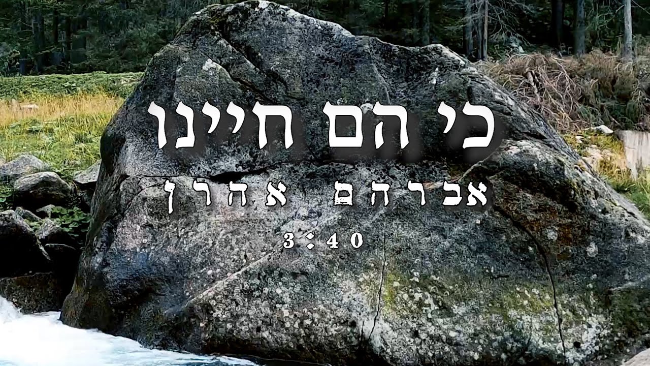 אברהם אהרן - כי הם חיינו.jpg