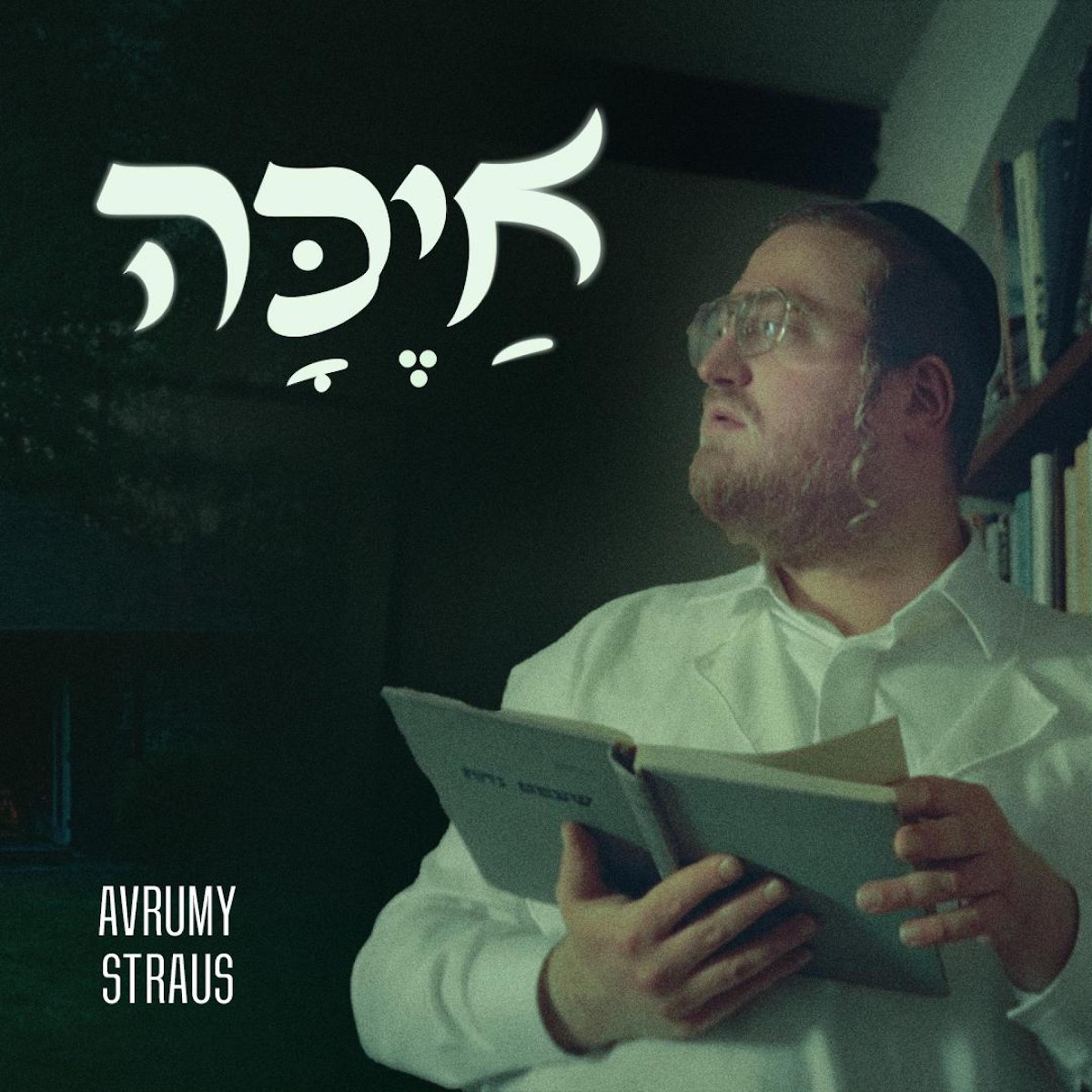 אברמי שטרויס - איכה.jpg