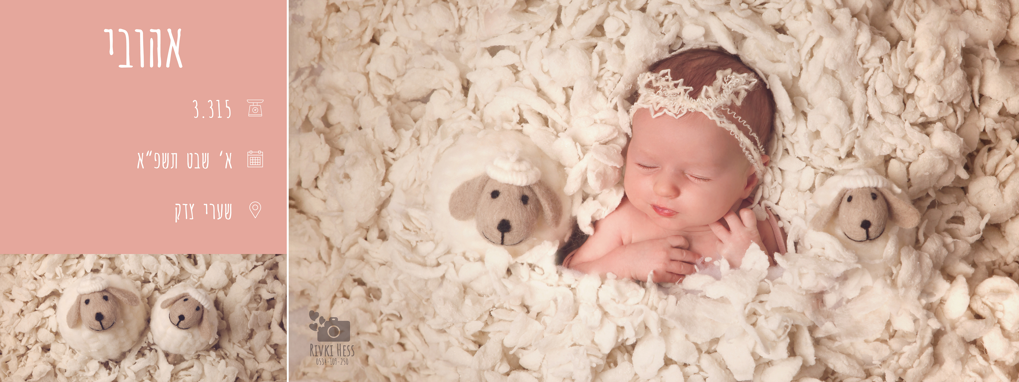 אהובי נולדה-01.jpg
