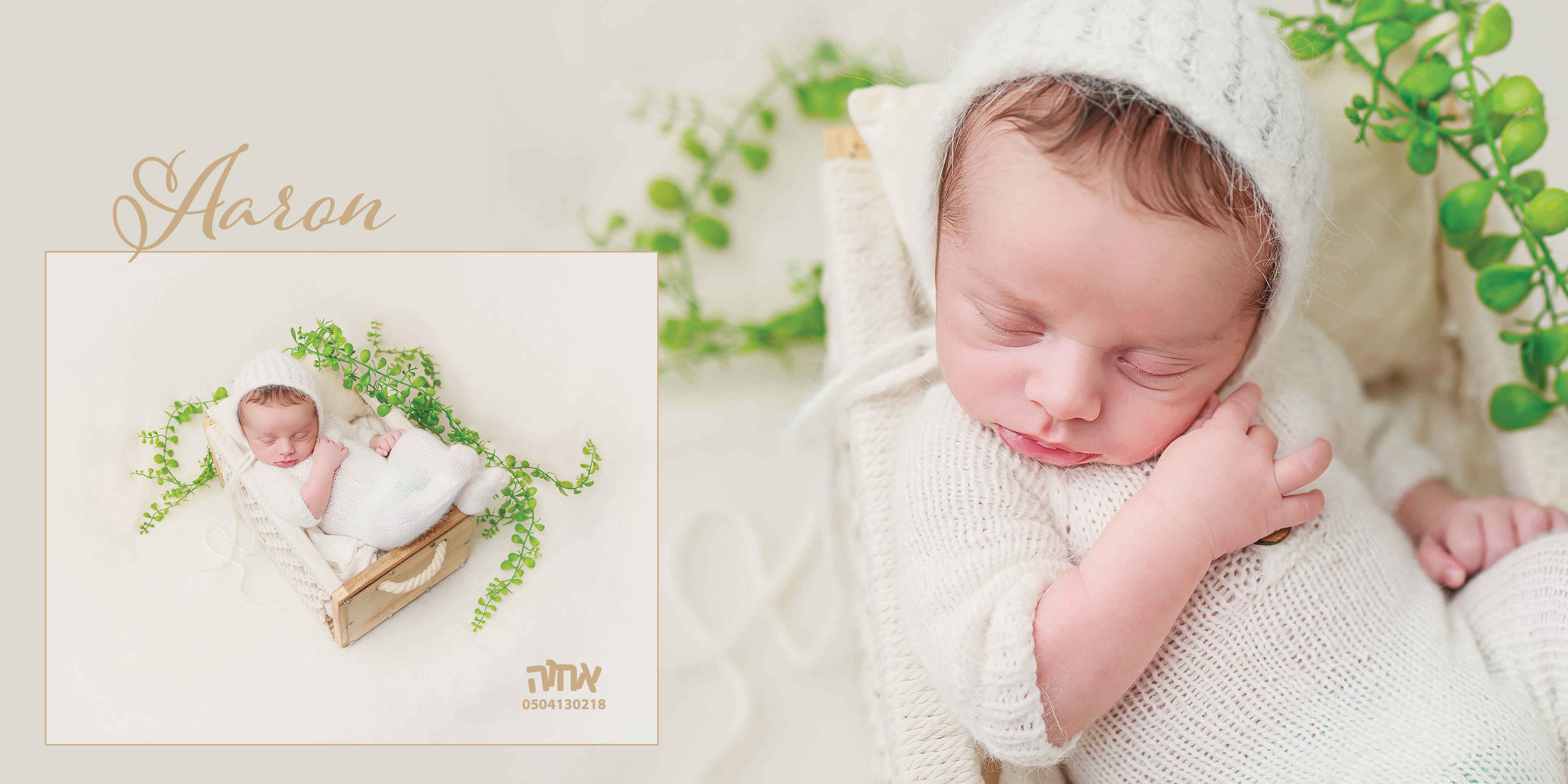 אהרון כהן 0504130218 אחוה פלוטקין.jpg