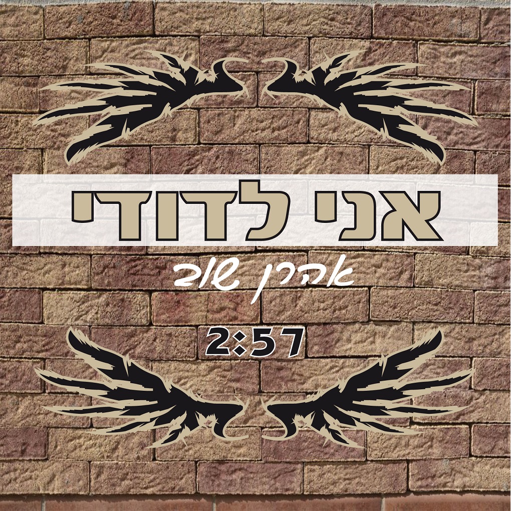 אהרן שוב - אני לדודי.jpg