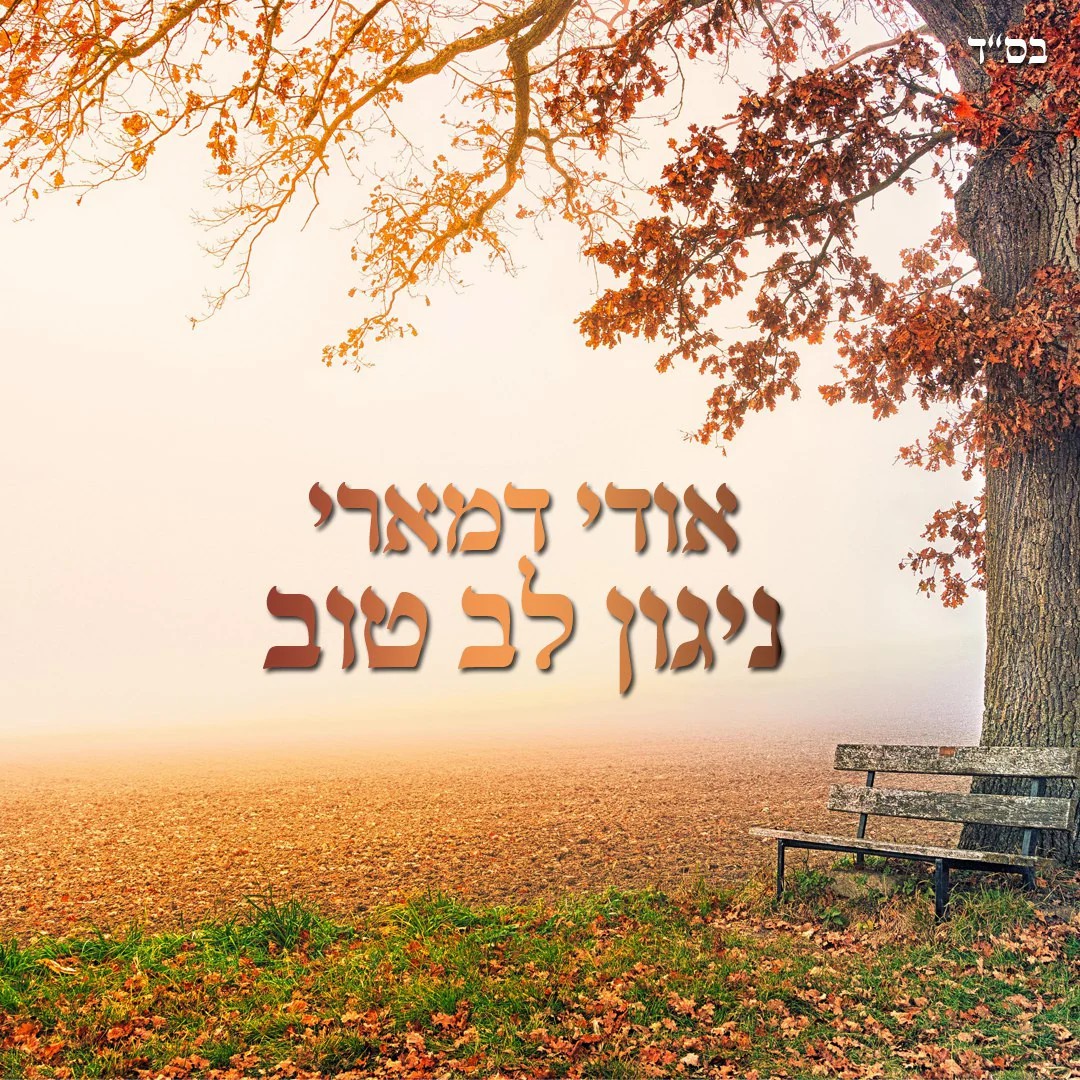אודי דמארי - ניגון לב טוב.jpg