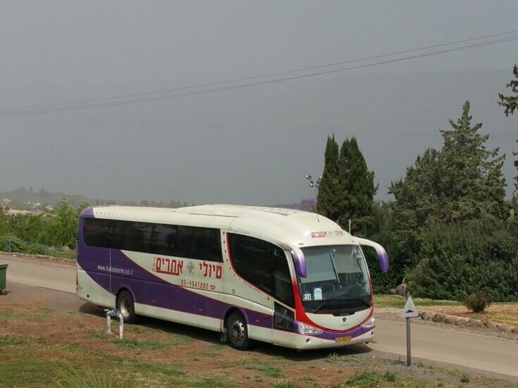 אוטובוס דולפין.jpg