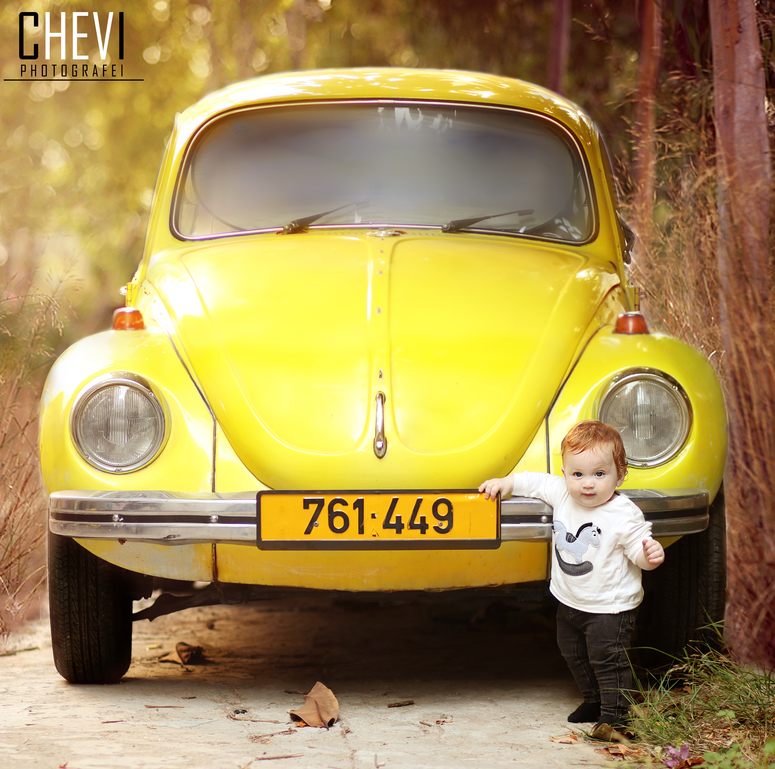 אוטו  לווגו.jpg