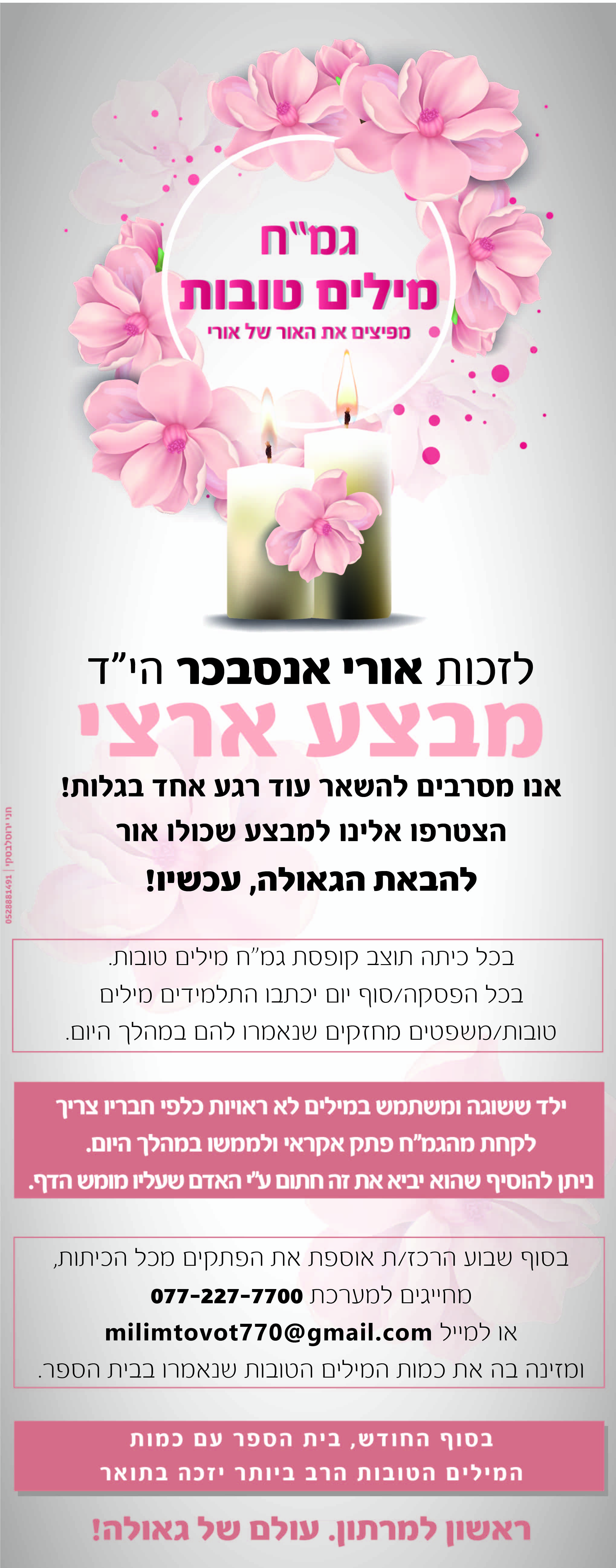 אופציה 2-01.jpg