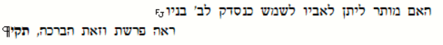 אופציה 2.png