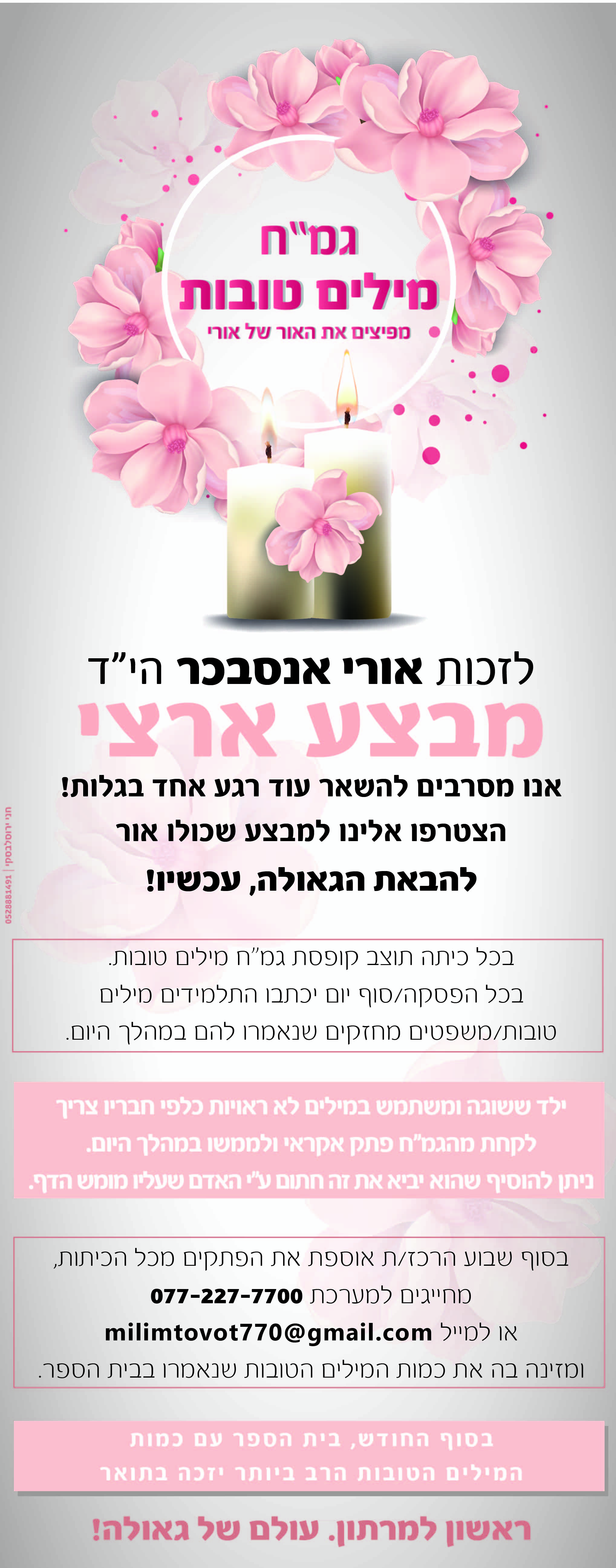 אופציה 3-01-02.jpg