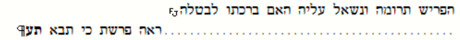 אופציה 4.png