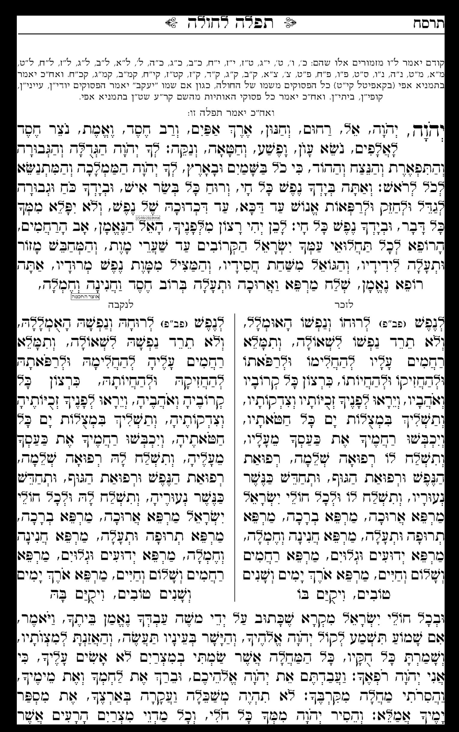 אוצר החכמה_198732 (3).jpg