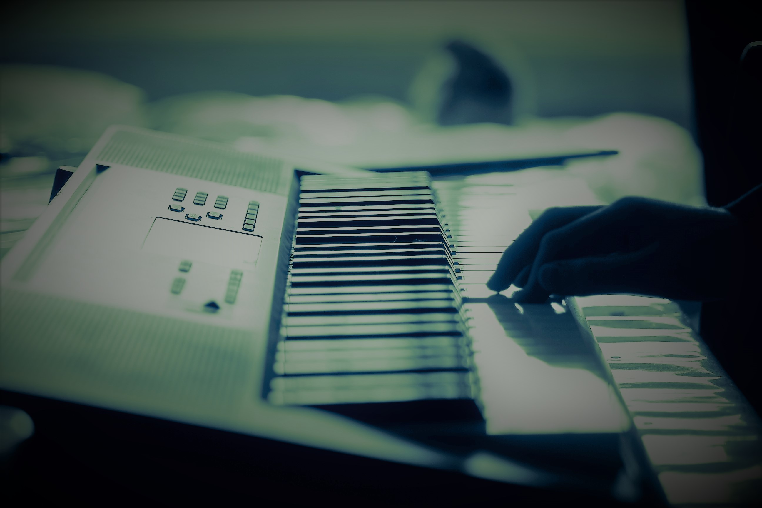 אורגן יפה.JPG