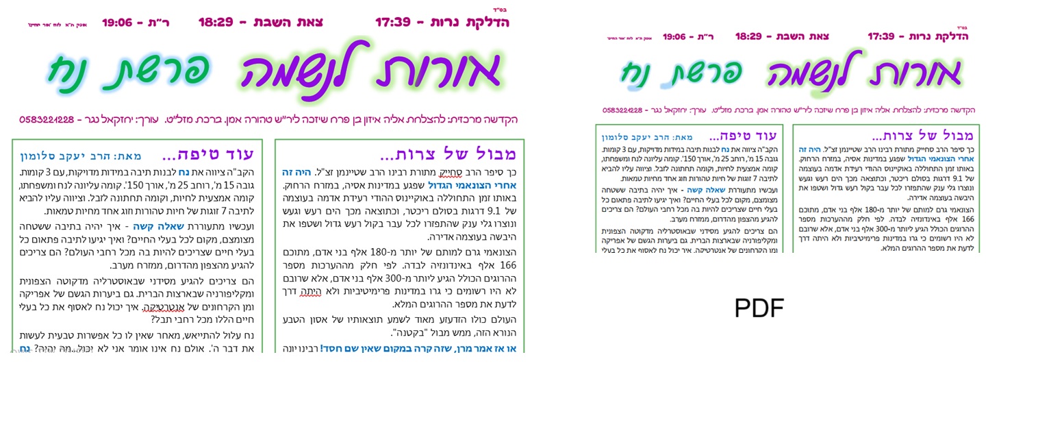 אורות לנשמה.jpg