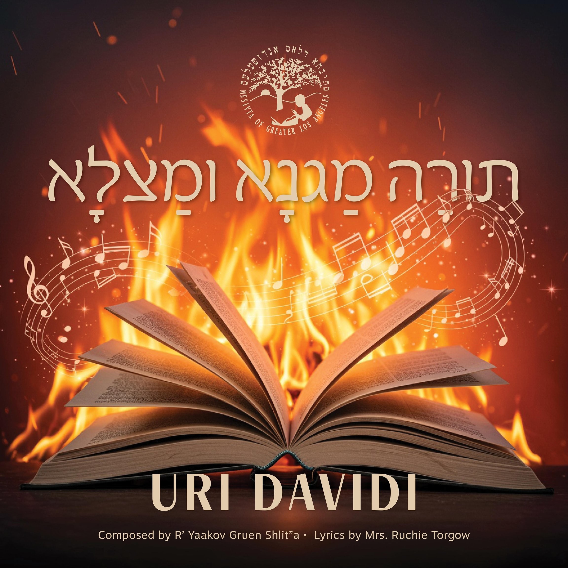 אורי דוידי - תורה מגנא ומצלא.jpg