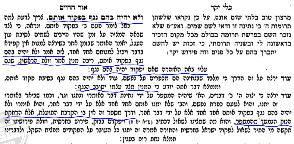 אור החיים.PNG