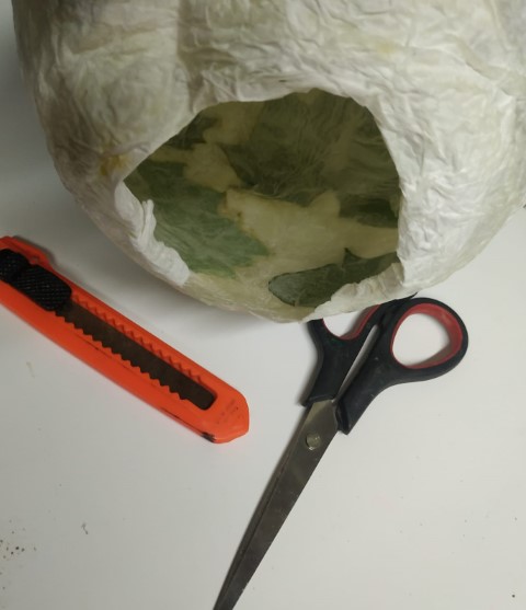 אור (12) (Small).jpeg