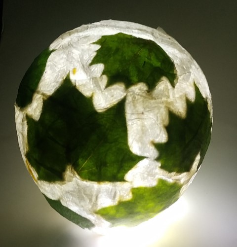 אור (13) (Small).jpeg