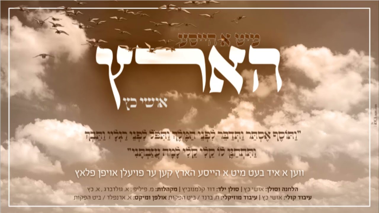 אושי כץ - מיט א הייסע הארץ.jpg