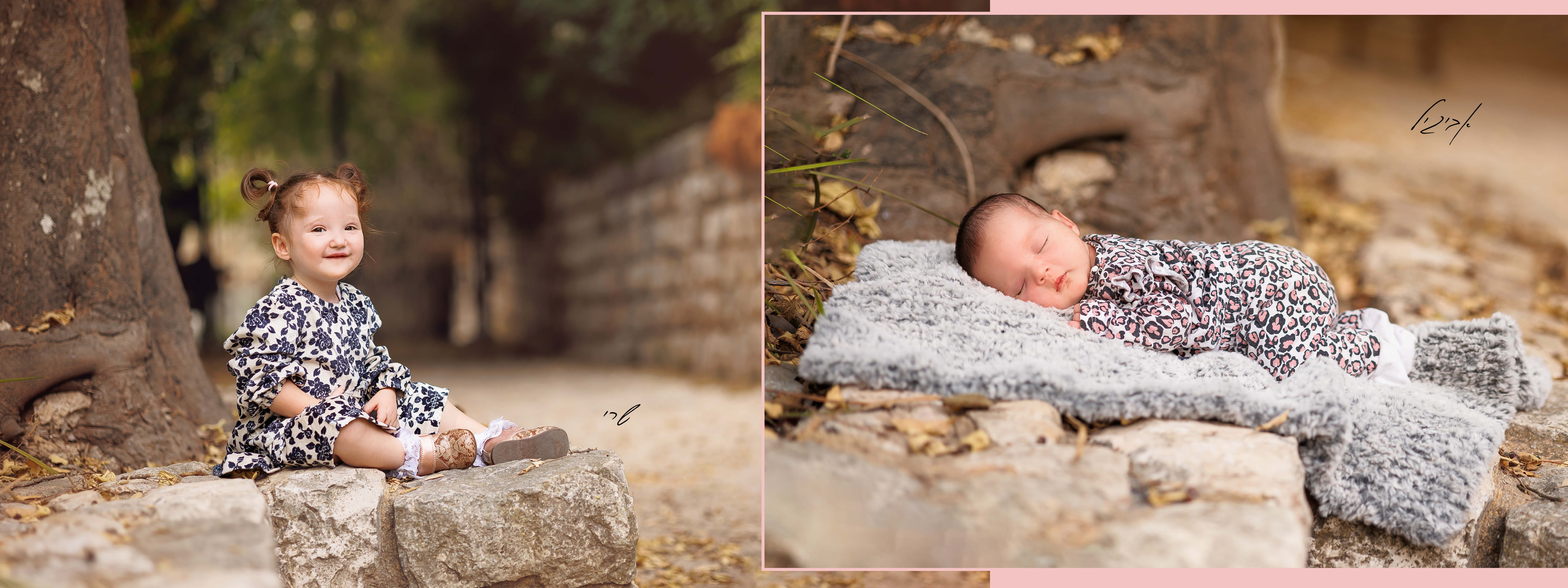 אחוה פלוטקין 0504130218 שלומי לוי6.jpg