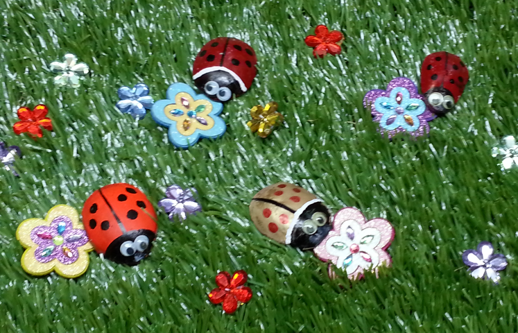 אחיפושית 4.png