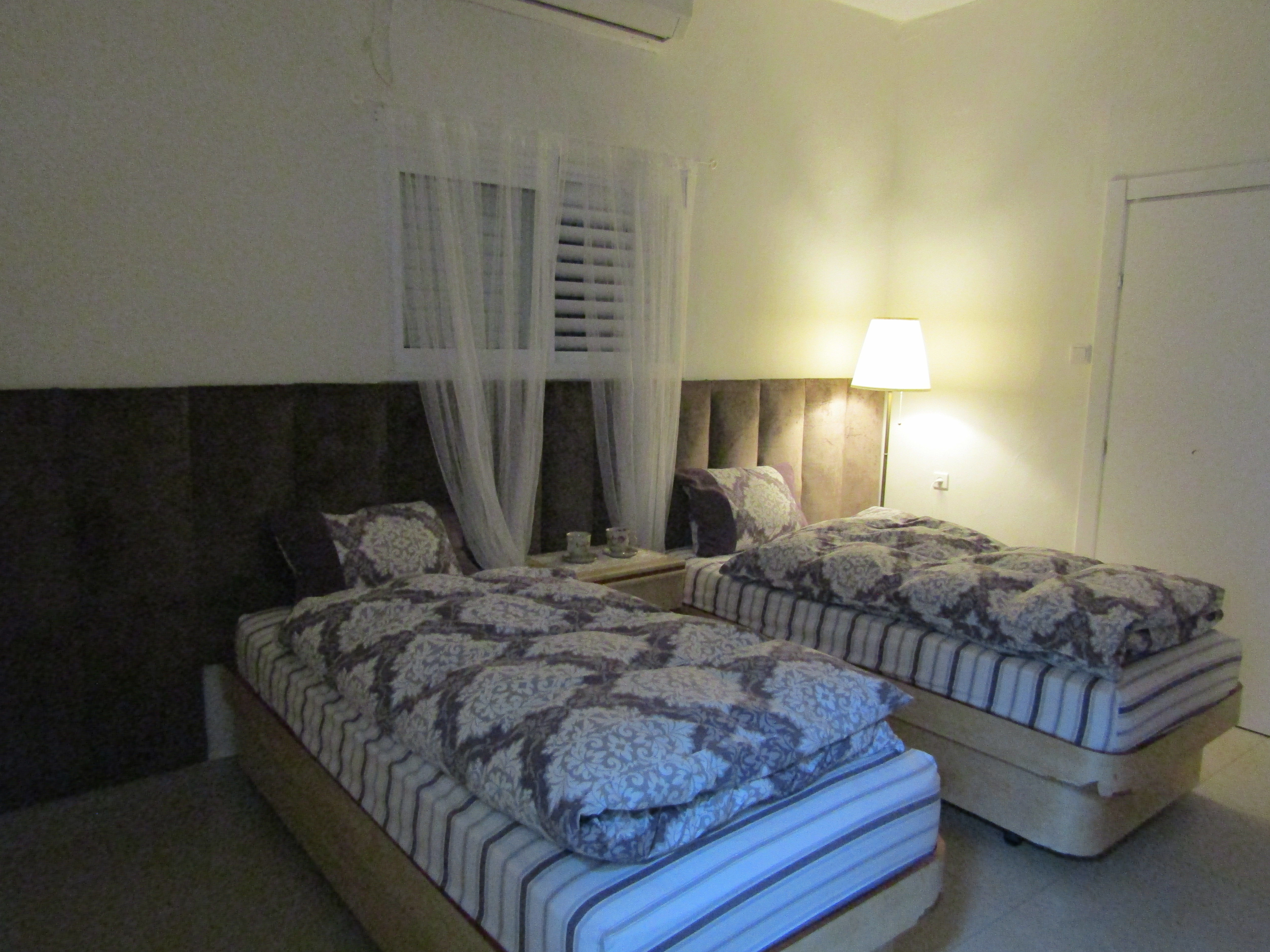 אחרי -לילה.jpg