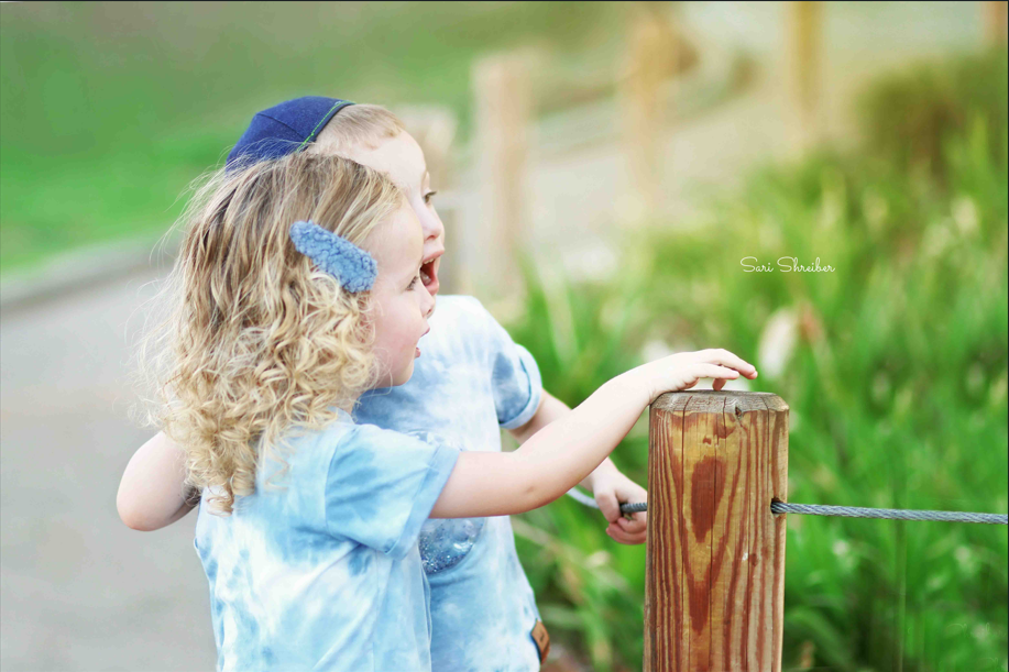 אחרי עיבוד (2).png