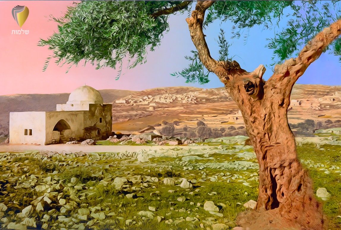 אחרי צביעה.jpg