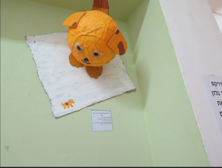 איה פלוטו.PNG