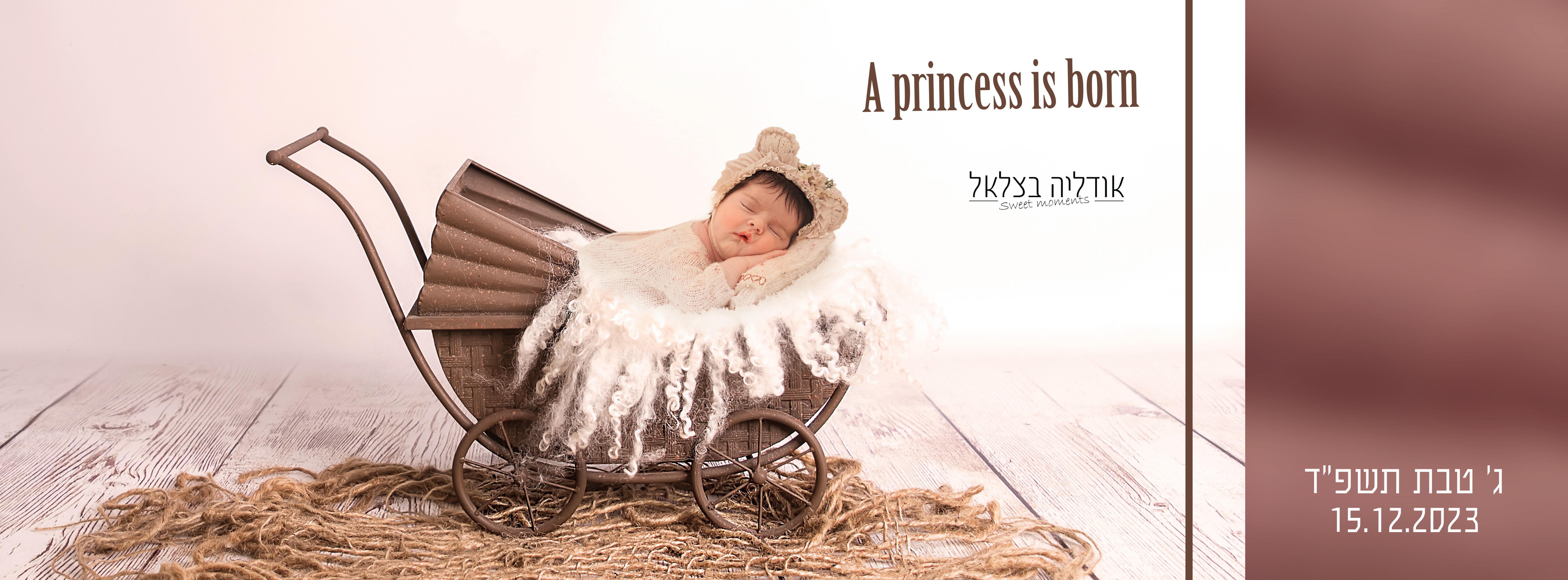 איילת השחר.jpg