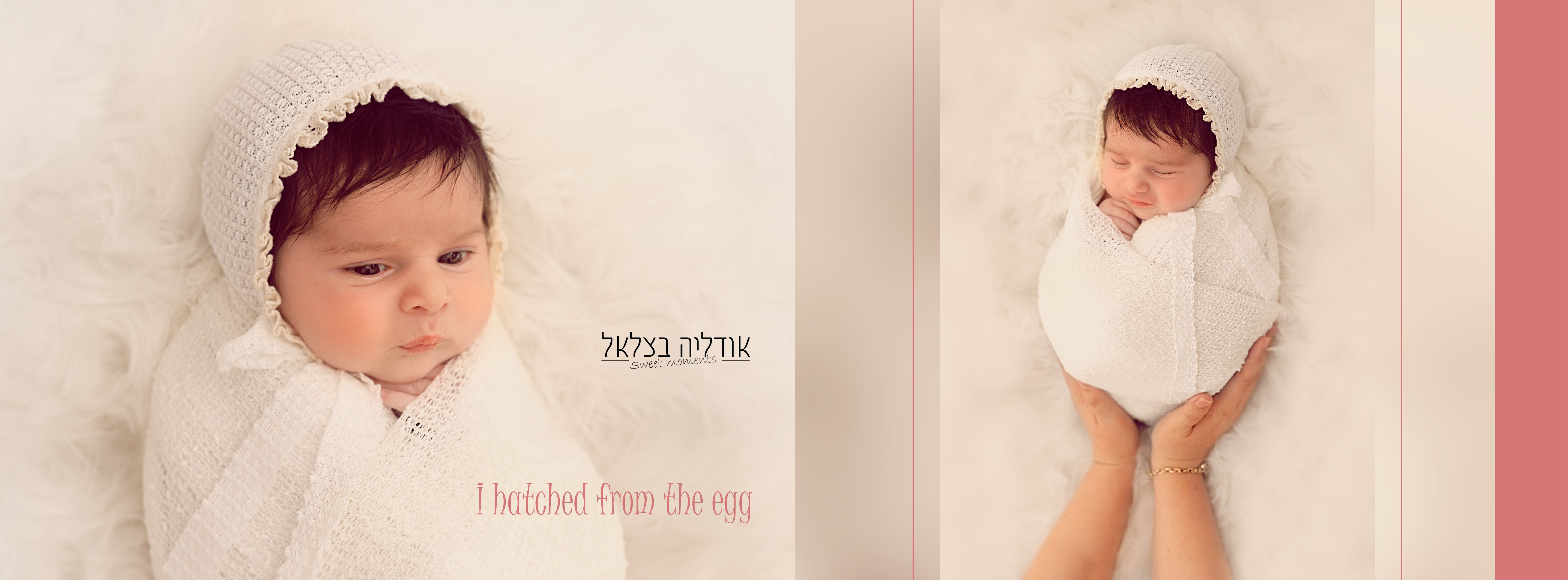 איילת השחר2.jpg