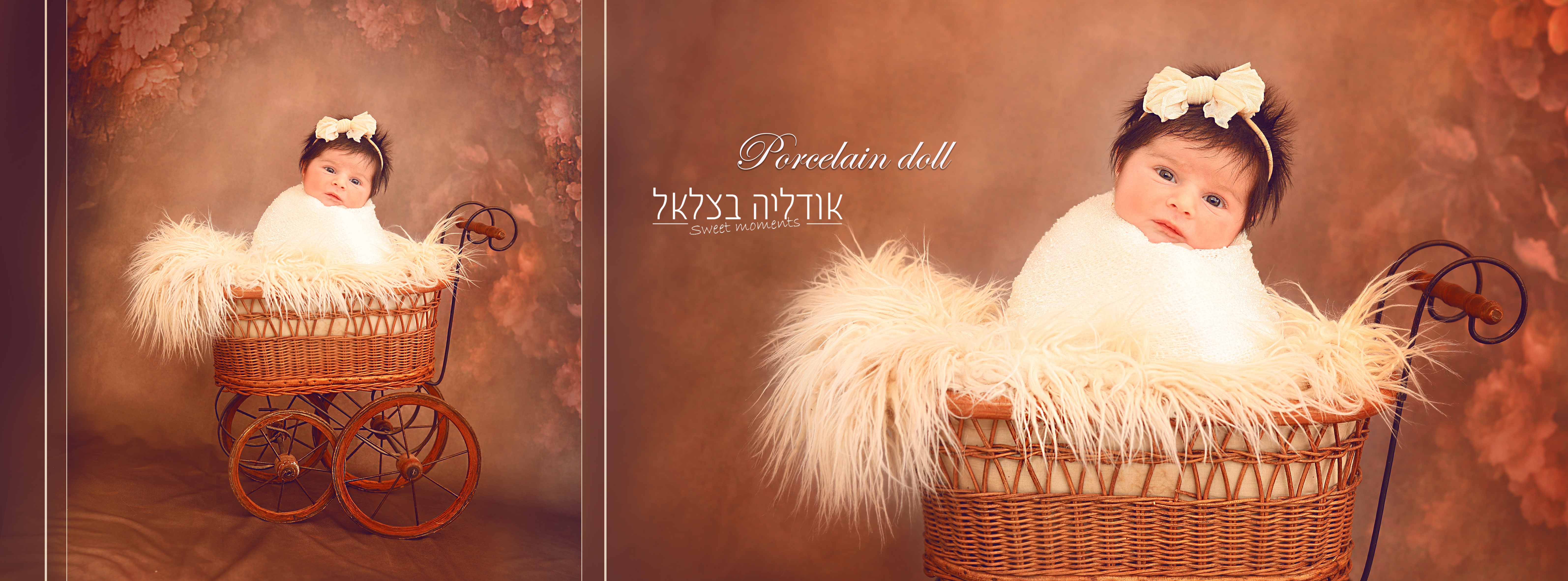 איילת השחר3.jpg