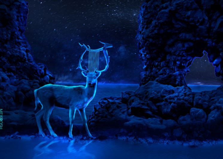 אייל שחור.JPG