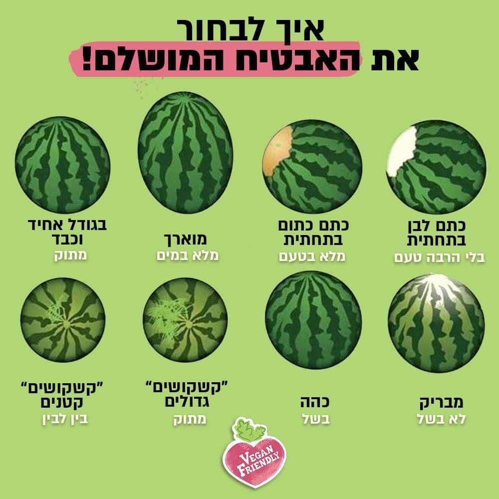 -איך-בוחרים-אבטיח-מושלם.jpg