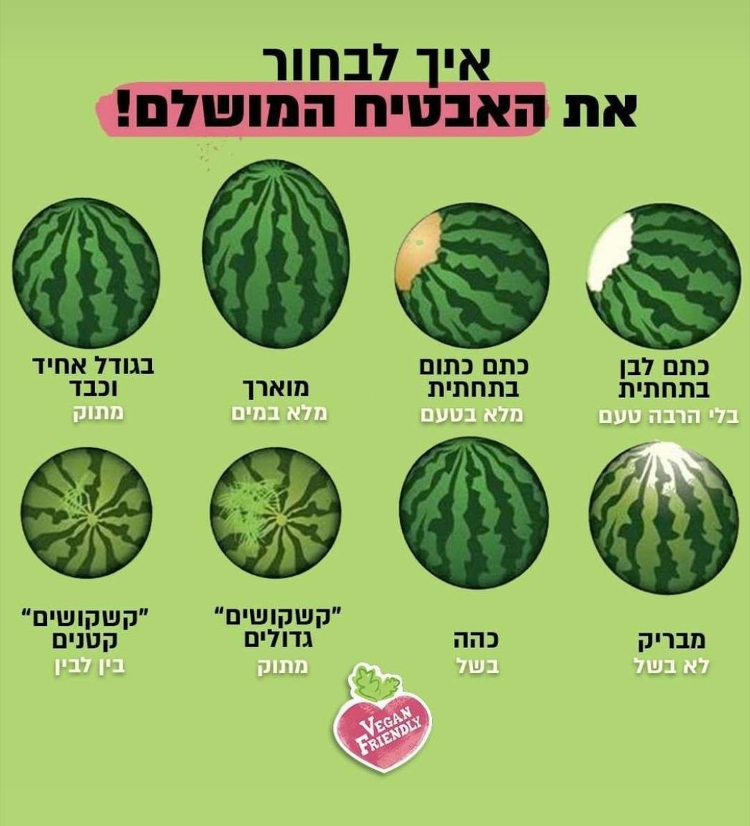 איך לבחור את האבטיח המושלם.jpg