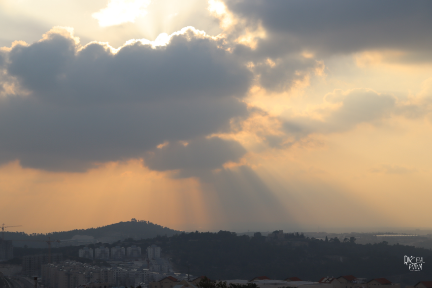 איכות מוקטנת רחל אץ.png