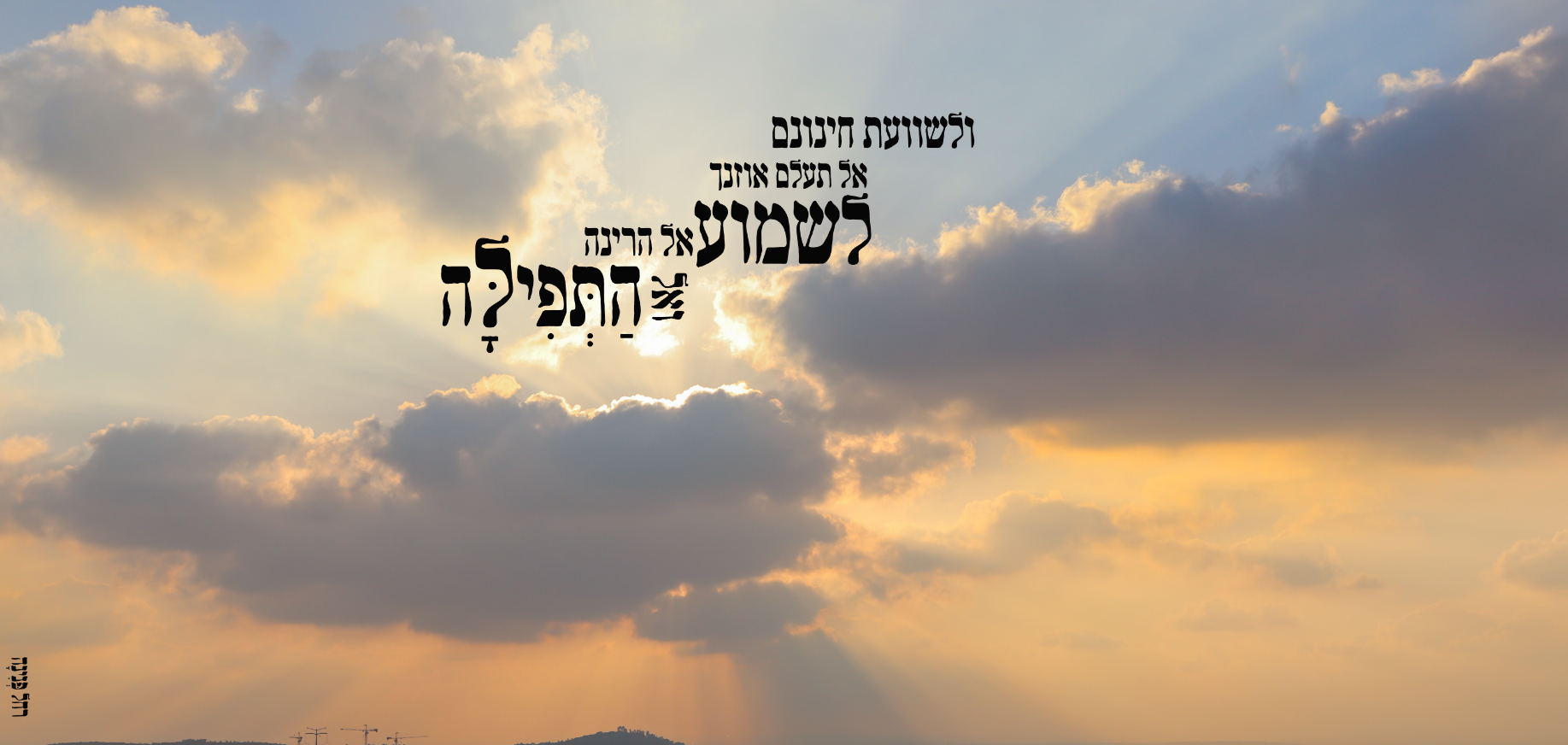 איכות מוקטנת ר.אורן.png