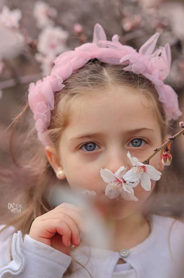 איכות נמוכה ולוגו.png