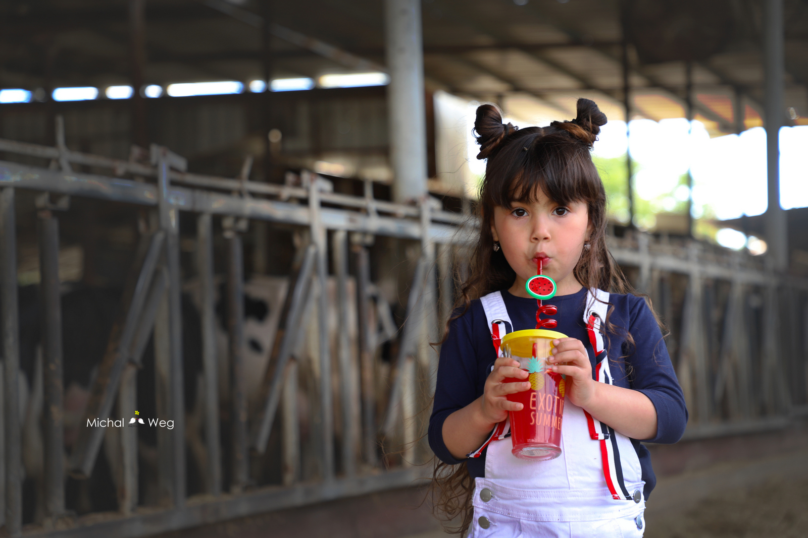 איכות נמוכה (1).jpg