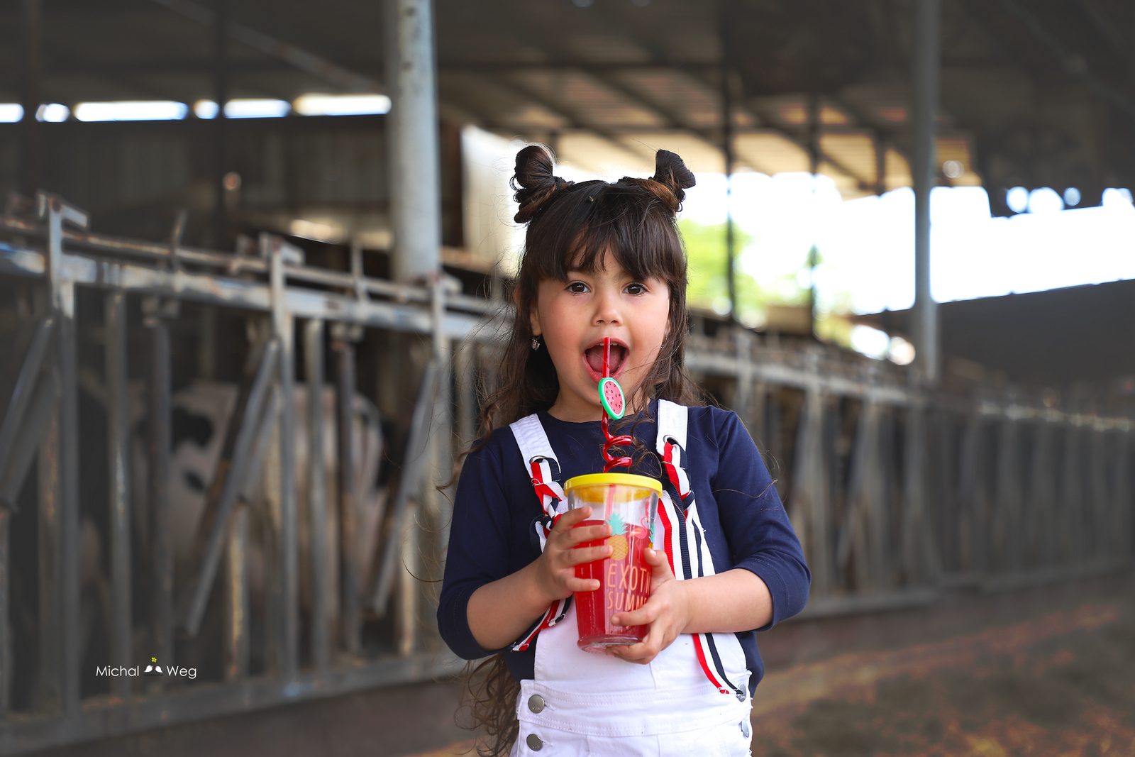 איכות נמוכה (2).jpg