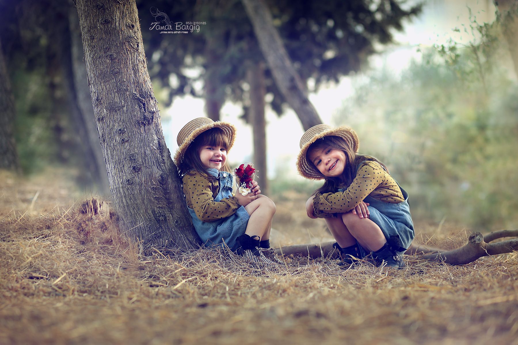 איכות נמוכה 2.jpg