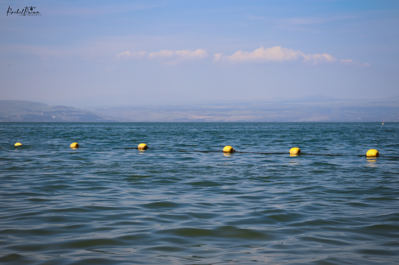 איכות נמוכה 2.png