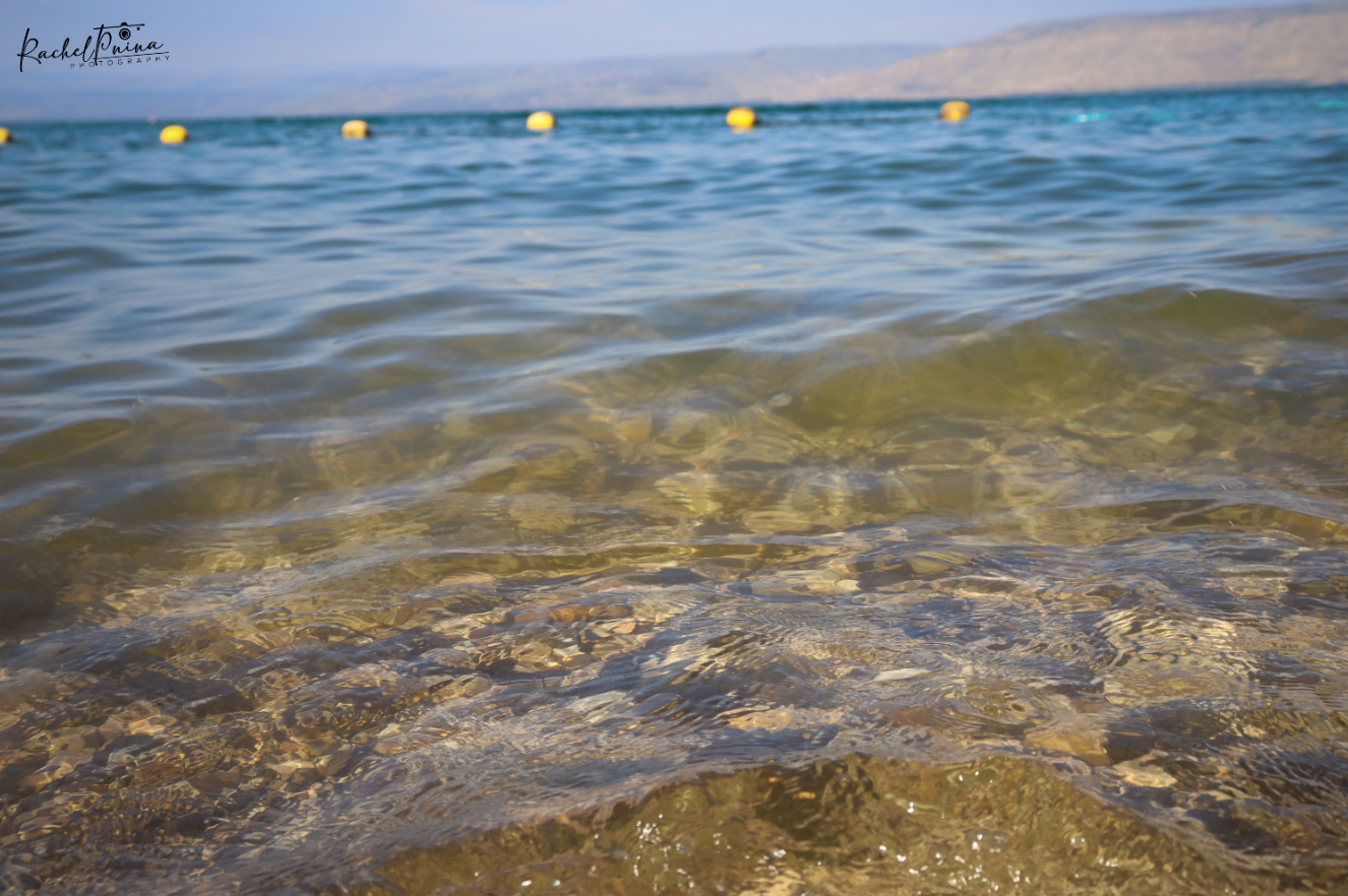 איכות נמוכה 5.png