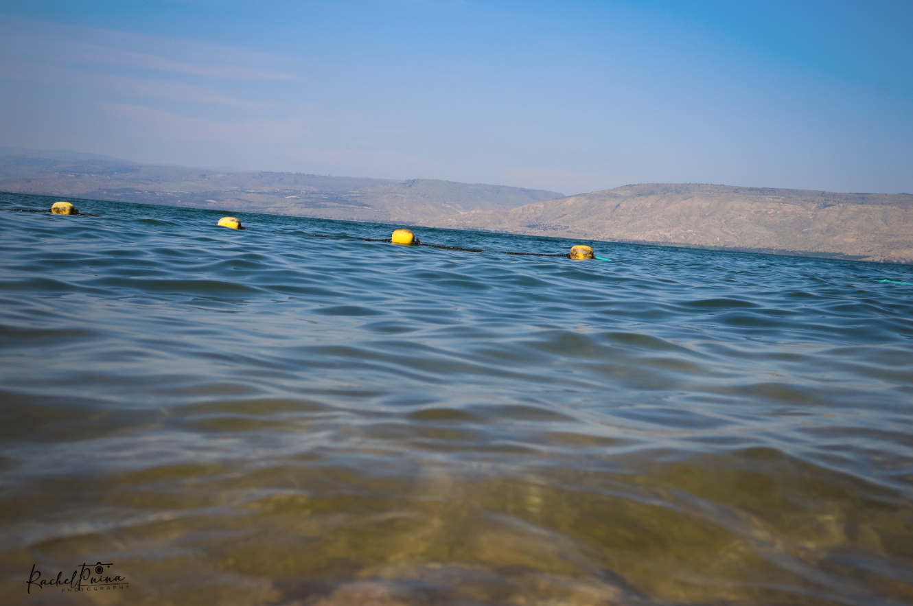 איכות נמוכה 6.png