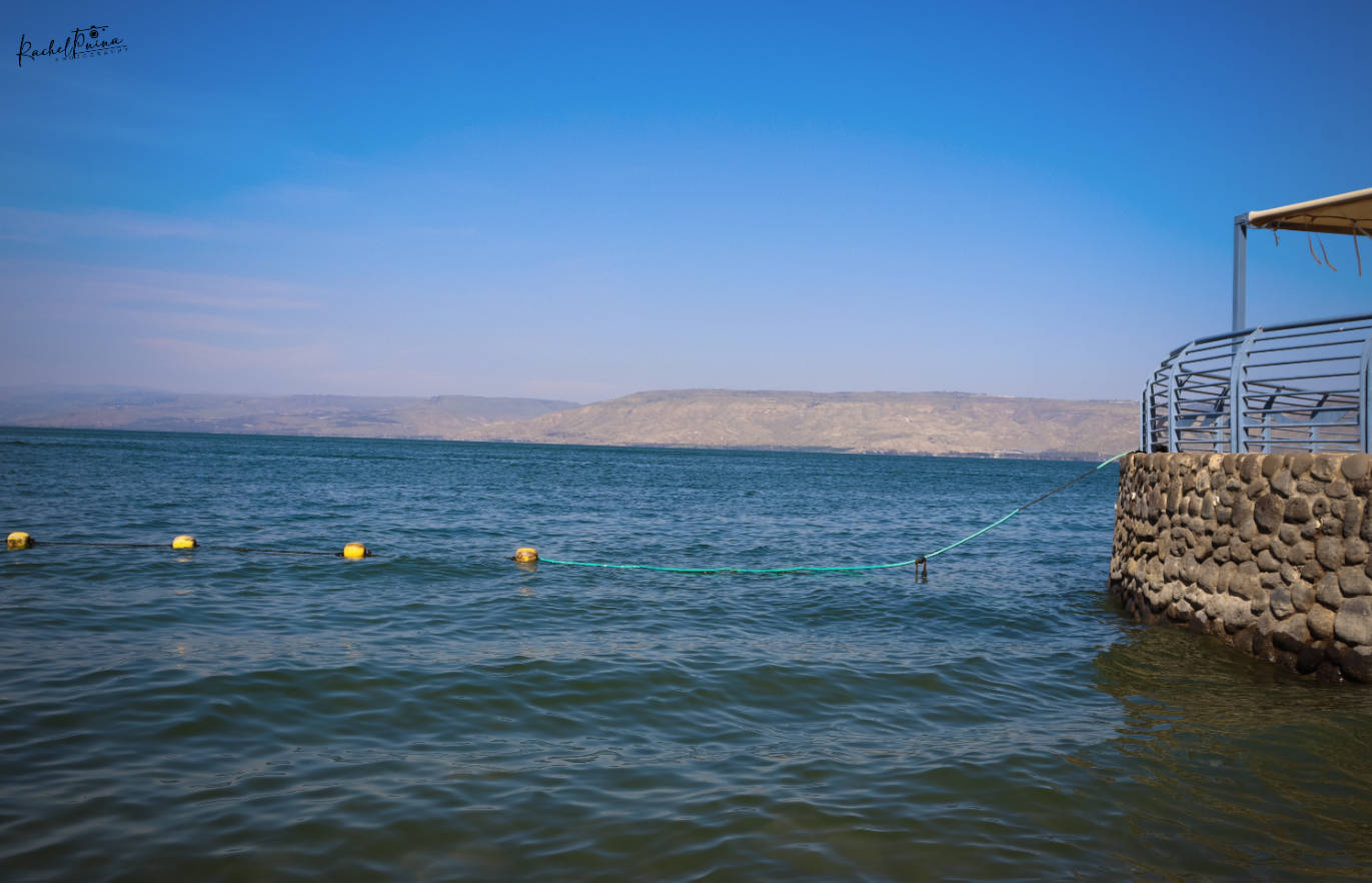 איכות נמוכה 7.png