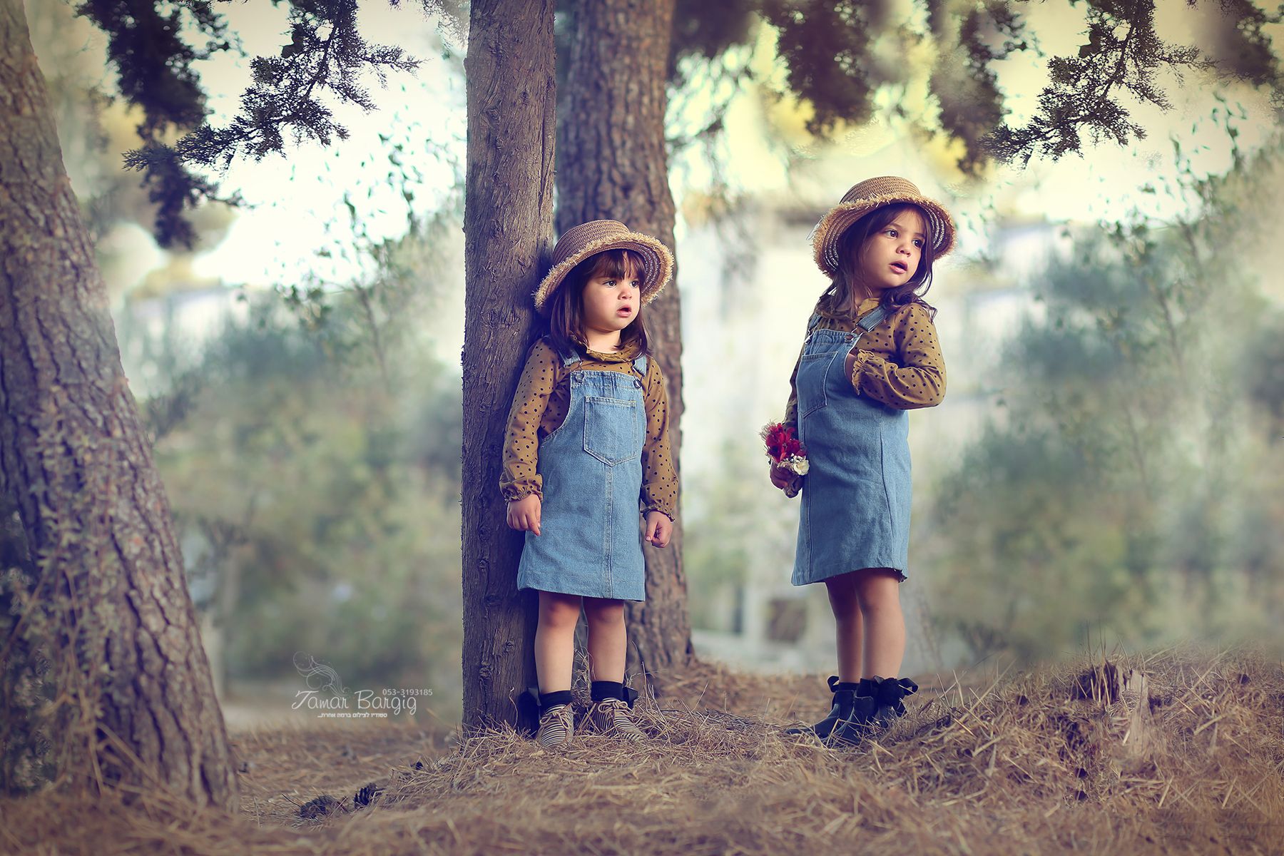 איכות נמוכה.jpg