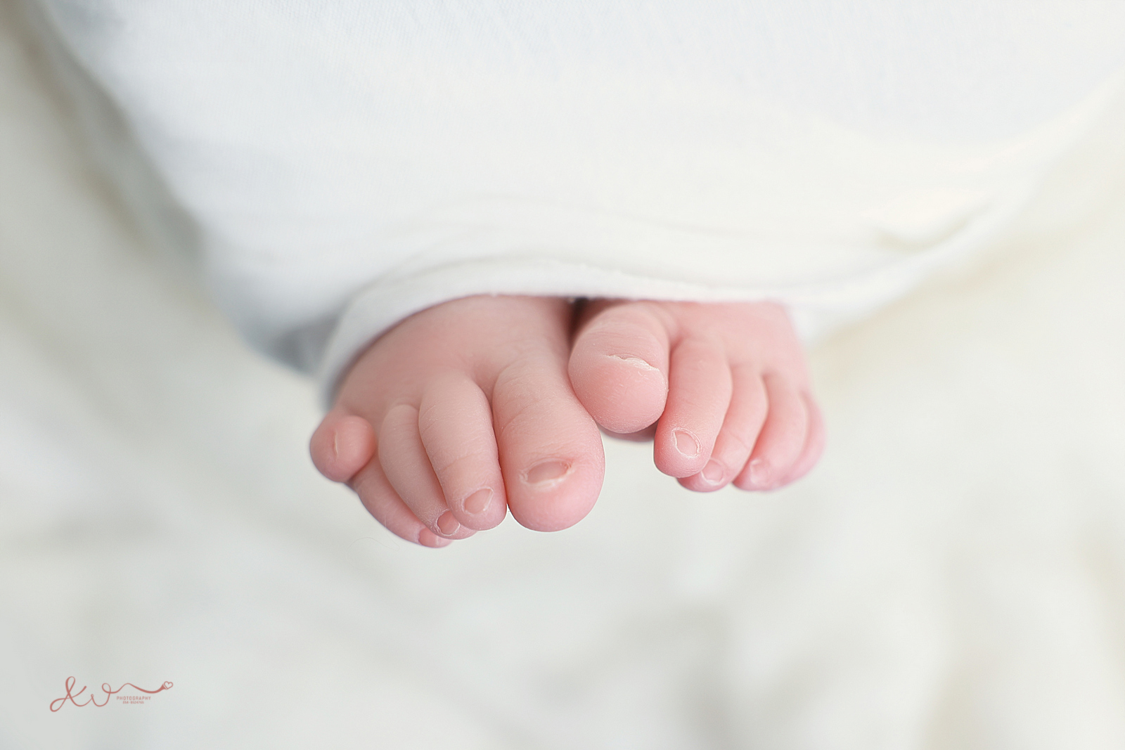 אילה וויג צלמת ניו בורן בבית הלקוח 0548524765 (17).jpg