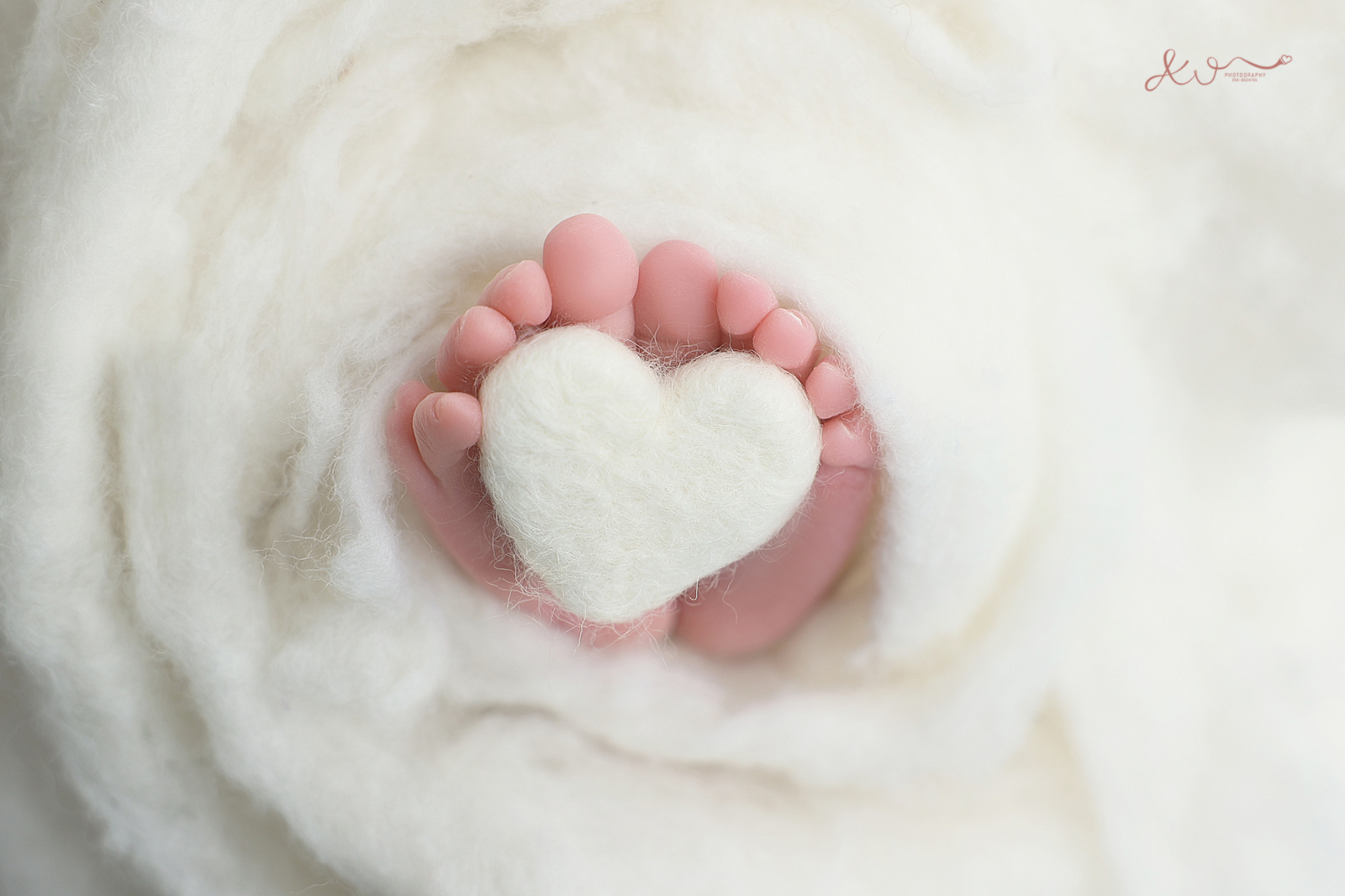 אילה וויג צלמת ניו בורן בבית הלקוח 0548524765 (18).jpg